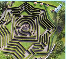 Bellingham Maze