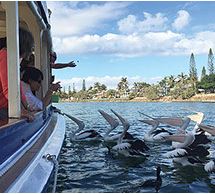 Mooloolaba Wharf Dining