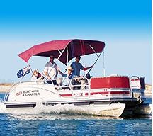 Swan Boat Hire