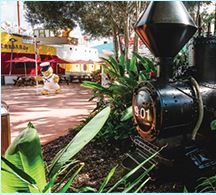 The Ginger Factory Café